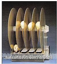 ƽ���D(zhu��n)��x