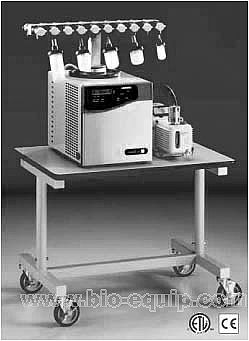 ����̓��əC�͝�s�x