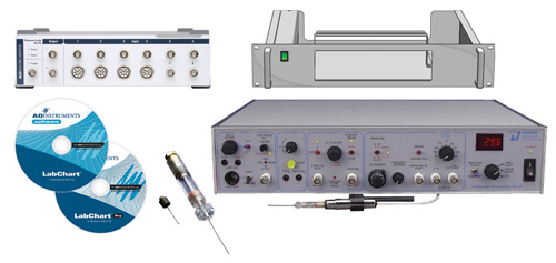 ������ӛ�ϵ�y(t��ng)