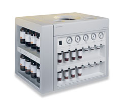 ��ͨ��DNA�ϳɃx