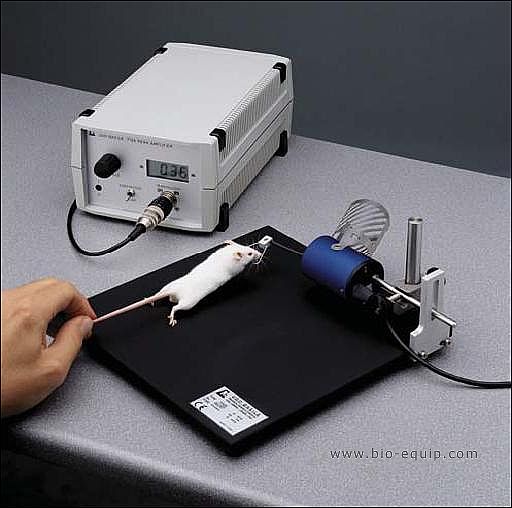 ץ���y���x