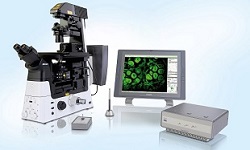 �����@΢�и�ϵ�y(t��ng)