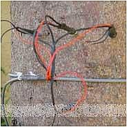 SF-L������y(c��)��?j��)x