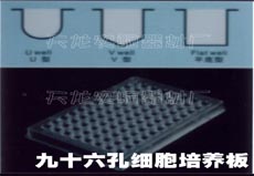 �������B(y��ng)�� ���g�� ��ɫС����ƿ