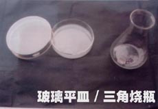 �������B(y��ng)��/���ǟ�ƿ �����