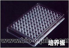 6�����B(y��ng)��,96�����B(y��ng)��,24�����B(y��ng)��