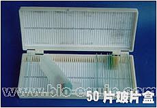 10Ƭ��Ƭ����һ���Կ���