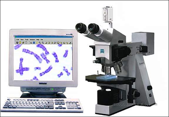 ȫ�Ԅ�(d��ng)��(x��)���z������վȾɫ�w���ͷ���ϵ�y(t��ng)