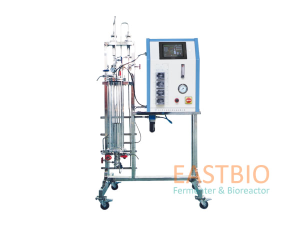 ����ʽ�����l(f��)�͹�