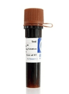 ���ѻ��~����