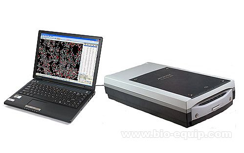 �������^Ʒ�|(zh��)�z�y�x���|(zh��)�ж��x����Ʒ�|(zh��)����