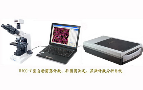 ����Ӌ(j��)��(sh��)�x�־�Ȧ�y(c��)��?j��)xЧ�r(ji��)��(x��)���ΑB(t��i)�W(xu��)����