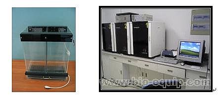 ����ҕ�l����ϵ�y(t��ng)