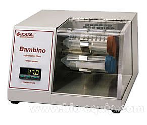 �����s���䣨�����s���t��