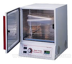 �����s����Shake��N��Bake�������s���t��