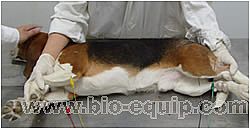 ������늈D����ϵ�y(t��ng)