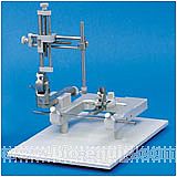 ���w��λ�x