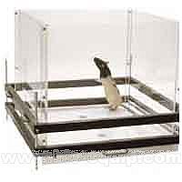 �������О��о�