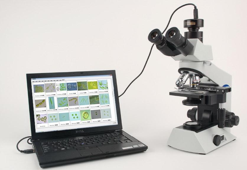 �f��A(y��)lgaeC�͸������������b��Ӌ(j��)��(sh��)�x