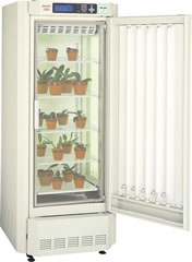 ֲ�����B(y��ng)��