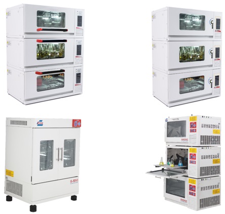 �����ʎ��