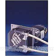 ��(gu��)���M(j��n)�ڵ�(gu��)speck�ӝ��