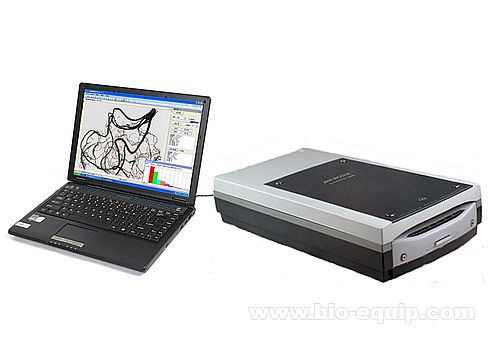 ��ϵ����ϵ�y(t��ng)�~��e�x�����~Ƭ����ڌӷ���