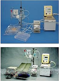 ͨ���x�w���ٹ�עϵ�y(t��ng)