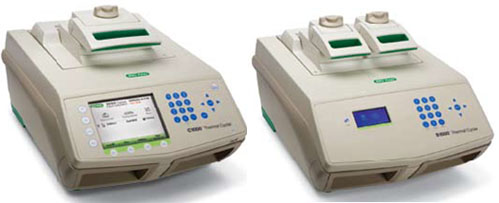 ��һ���pģ�K�ݶ�PCR�x