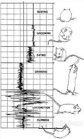 �����О�܉�E�����������x