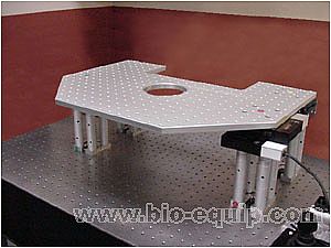 �@΢�RX-Y�Ƅ�(d��ng)�_(t��i)�c֧��ƽ�_(t��i)