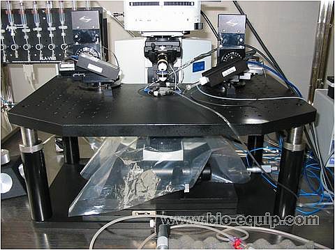 �@΢�RX-Y�Ƅ�(d��ng)�_(t��i)�c֧��ƽ�_(t��i)