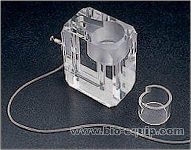 �XƬ/�M��Ƭ������