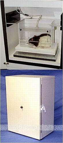 ���@�l������ϵ�y(t��ng)