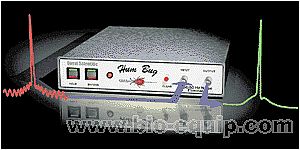 �����������