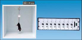 MED��β�yԇ�x