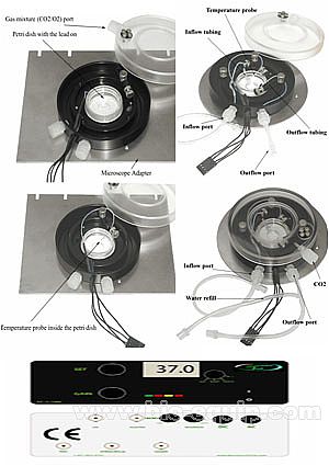 �����ؿ�С��-Cell�����о����¹���