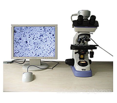 �D�������@΢ϵ�y(t��ng)