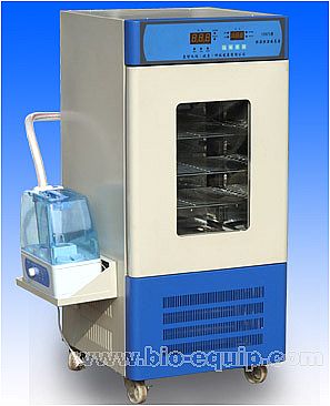 ù�����B(y��ng)��