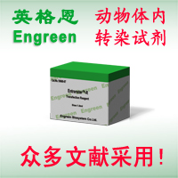 �����w��(n��i)RNA�D(zhu��n)Ⱦԇ��