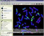 ȫ�Ԅ�(d��ng)���^����M��������վ