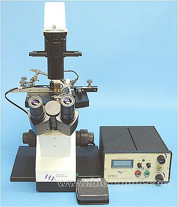 ˮƽ΢늘O���ƃx