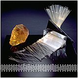 SUTTER �M�ڲ���ë��������늘O��