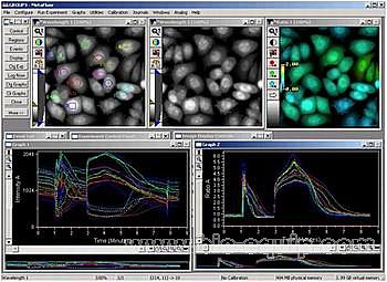 �x�ӳ���ϵ�y(t��ng)