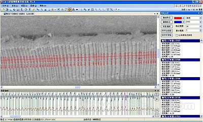 �๦�ܻ��w�~��e�x����ϵ�����x/��݆/�Ϲ�