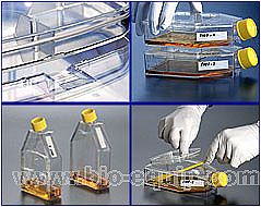 TPP��(x��)�����B(y��ng)ƿ