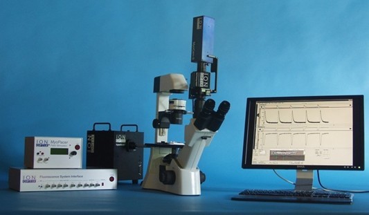 �ļ������տs���x�ӝ��ͬ���y��ϵ�y(t��ng)