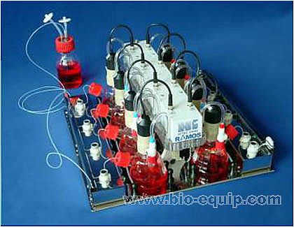 RAMOS������ӱO(ji��n)�yϵ�y(t��ng)