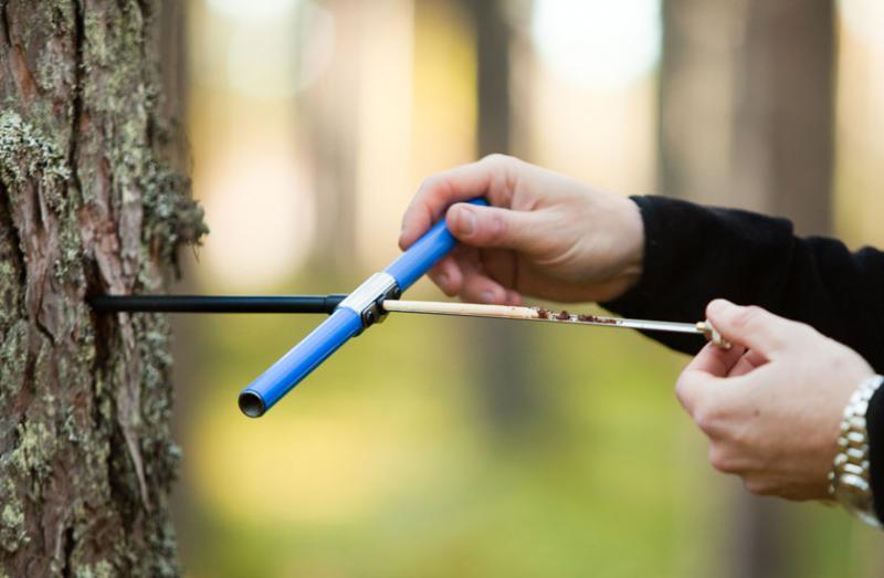 Haglof��ľ���L�F