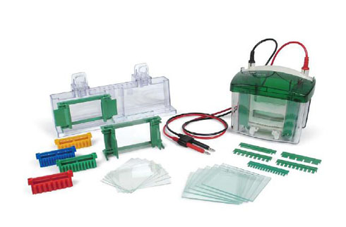 Mini-PROTEANС�ʹ�ֱ�Ӿ��